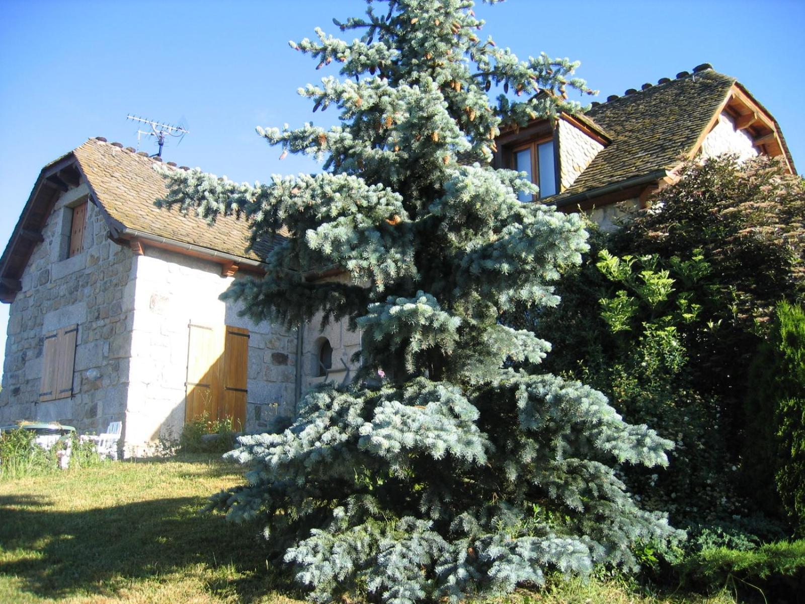 Apartament Lozere Aubrac Margeride Promo Saint-Alban-sur-Limagnole Zewnętrze zdjęcie