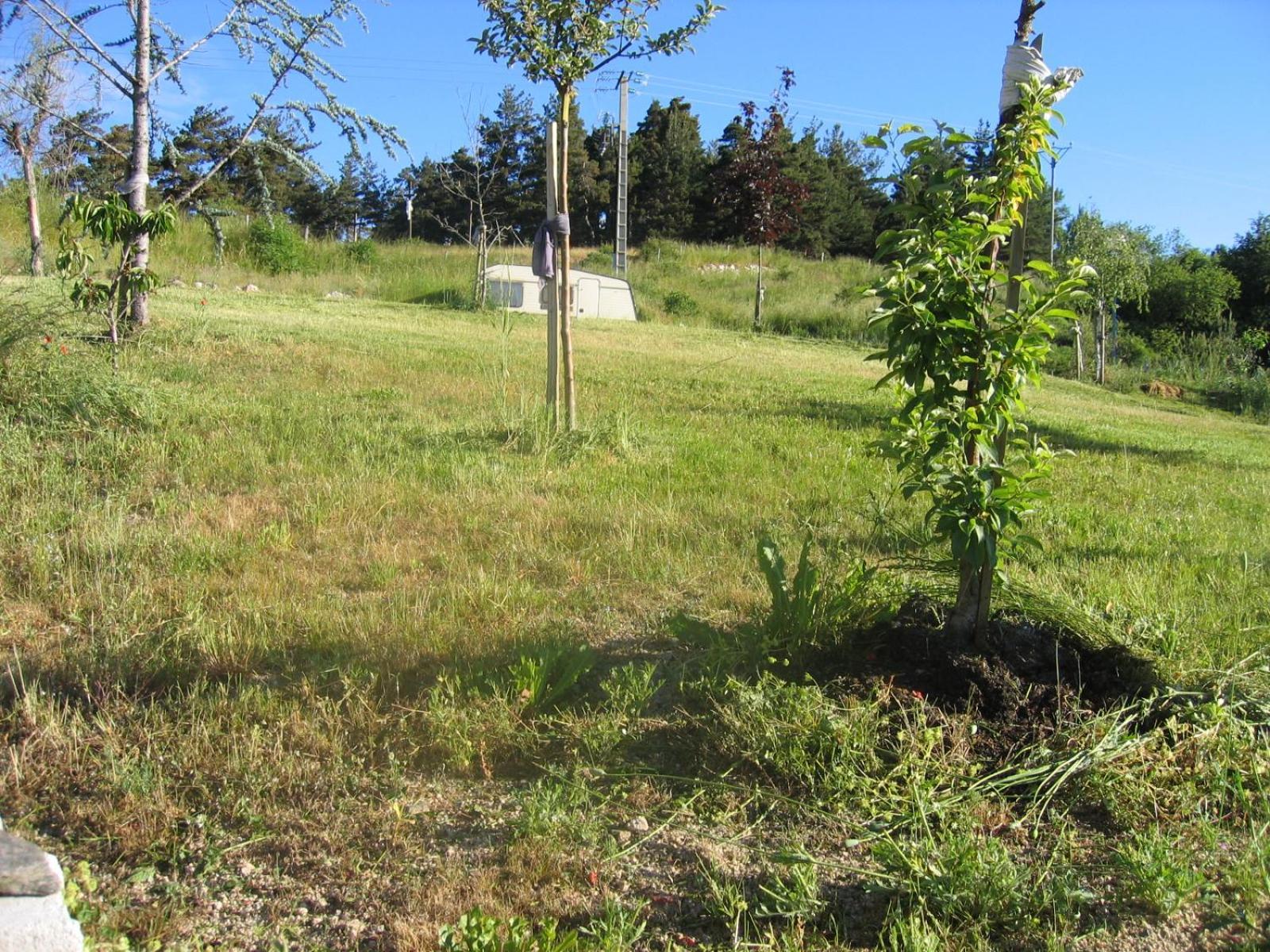 Apartament Lozere Aubrac Margeride Promo Saint-Alban-sur-Limagnole Zewnętrze zdjęcie