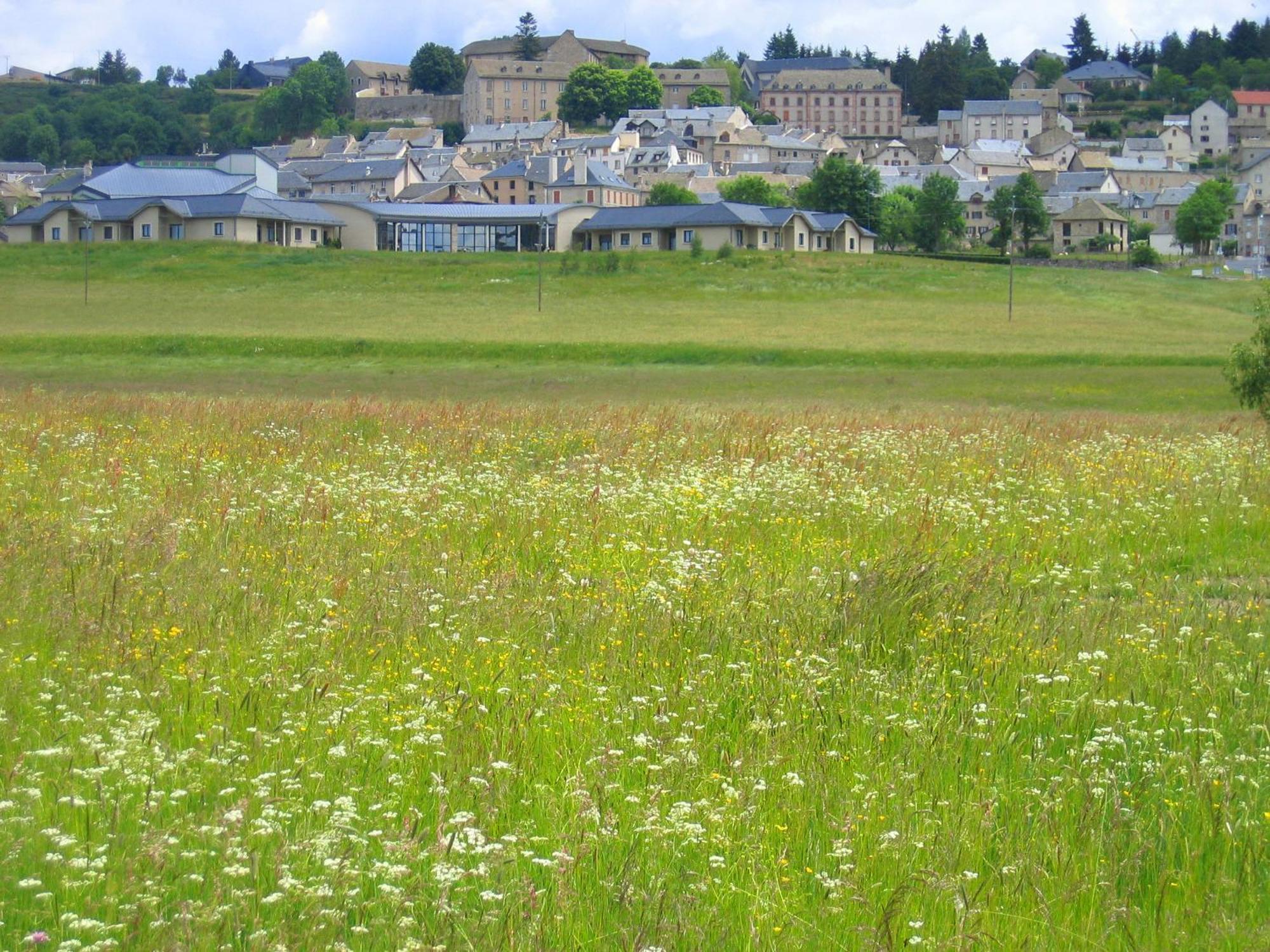 Apartament Lozere Aubrac Margeride Promo Saint-Alban-sur-Limagnole Zewnętrze zdjęcie